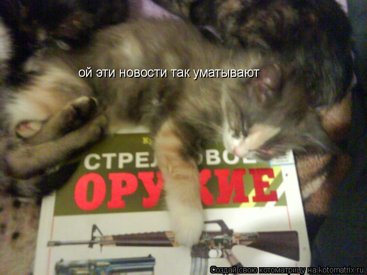 ой эти новости так уматывают... Котоматрица: ой эти новости так уматывают