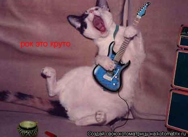 рок это круто... Котоматрица: рок это круто