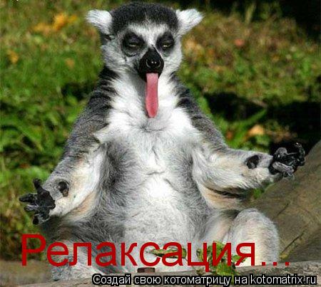 Релаксация...... Котоматрица: Релаксация...