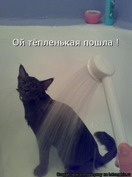 Ой тёпленькая пошла !... Котоматрица: Ой тёпленькая пошла !