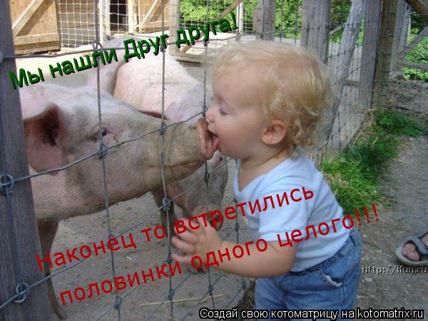 Котоматрица: Мы нашли Друг друга! Наконец то встретились половинки одного целого!!!