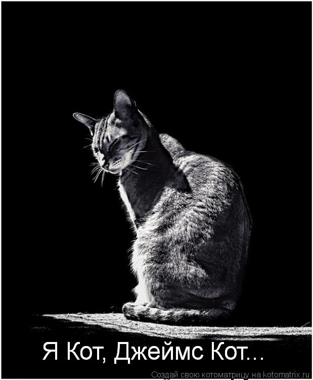 Котоматрица: Я Кот, Джеймс Кот... Я Кот, Джеймс Кот... Я Кот, Джеймс Кот...