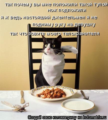 так почему вы мне положили такой тупой нож подложили я ж ведь настояший джентельмен я не подниму ру... Котоматрица: так почему вы мне положили такой тупой нож подложили я ж ведь настояший джентельмен я не подниму руку на девушку так что зовите моего тело