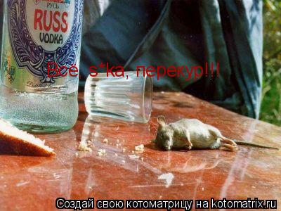 Котоматрица: Всё, s*ka, перекур!!!