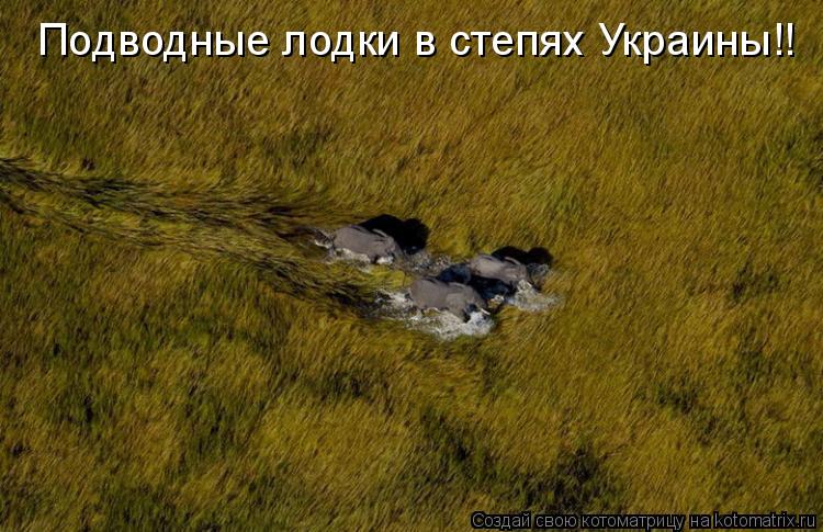 Котоматрица: Подводные лодки в степях Украины!!