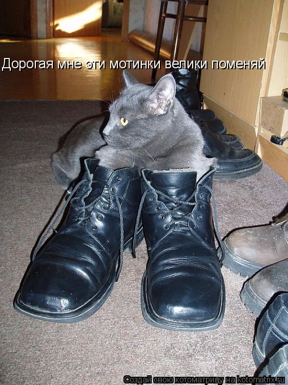 Дорогая мне эти мотинки велики поменяй... Котоматрица: Дорогая мне эти мотинки велики поменяй