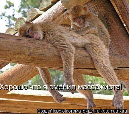 Хорошо что я сменил массажиста!... Котоматрица: Хорошо что я сменил массажиста!