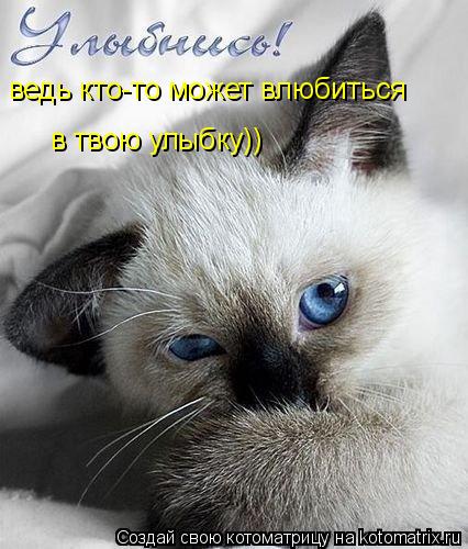 Котоматрица: ведь кто-то может влюбиться в твою улыбку))