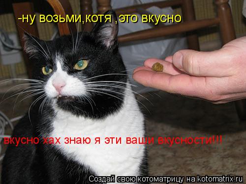-ну возьми,котя ,это вкусно вкусно хах знаю я эти ваши вкусности!!!... Котоматрица: -ну возьми,котя ,это вкусно вкусно хах знаю я эти ваши вкусности!!!