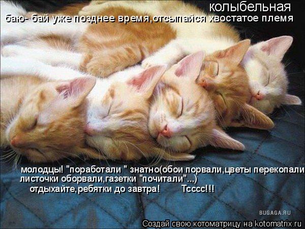 колыбельная баю- бай уже позднее время,отсыпайся хвостатое племя молодцы! "поработали " знатно(обои п... Котоматрица: колыбельная баю- бай уже позднее время,отсыпайся хвостатое племя молодцы! "поработали " знатно(обои порвали,цветы перекопали," листочки обо
