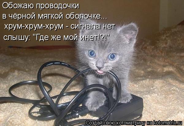 Обожаю проводочки в чёрной мягкой оболочке... хрум-хрум-хрум - сигнала нет слышу: "Где же мой инет!?!... Котоматрица: Обожаю проводочки в чёрной мягкой оболочке... хрум-хрум-хрум - сигнала нет слышу: "Где же мой инет!?!"