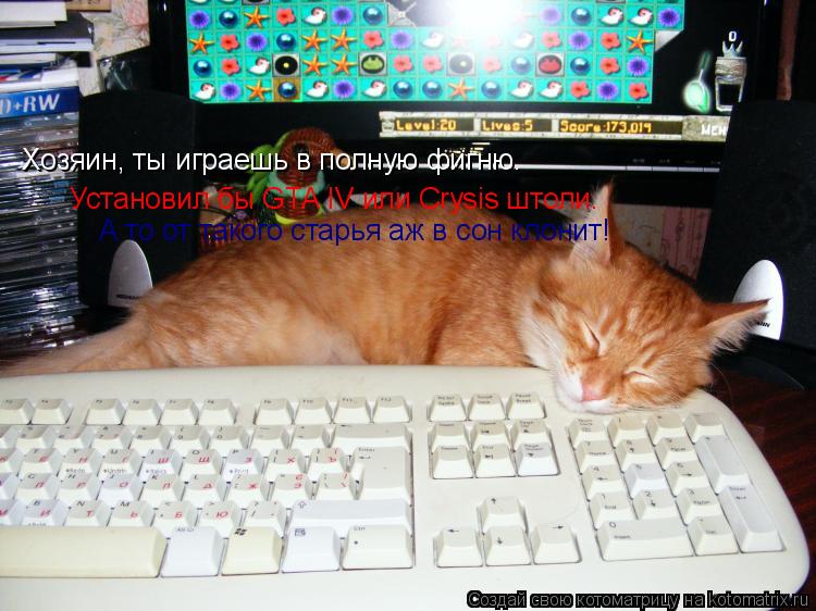 Котоматрица: Хозяин, ты играешь в полную фигню. Установил бы GTA IV или Crysis штоли. А то от такого старья аж в сон клонит!