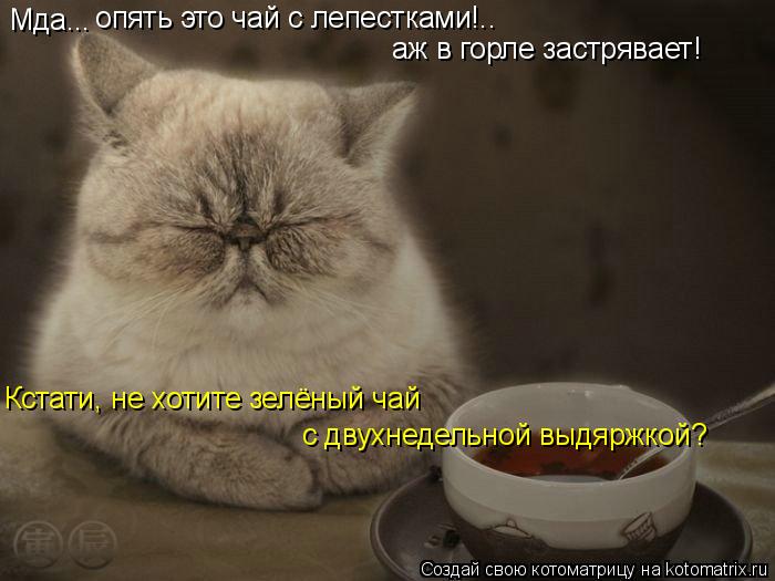 Мда... опять это чай с лепестками!.. аж в горле застрявает! Кстати, не хотите зелёный чай с двухнед... Котоматрица: Мда... опять это чай с лепестками!.. аж в горле застрявает! Кстати, не хотите зелёный чай с двухнедельной выдяржкой?