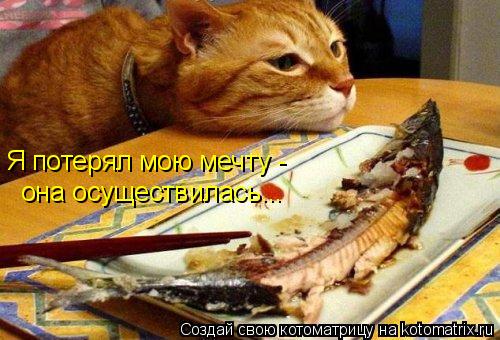 Котоматрица: Я потерял мою мечту -  она осуществилась...