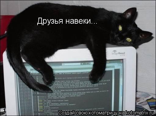 Друзья навеки...... Котоматрица: Друзья навеки...