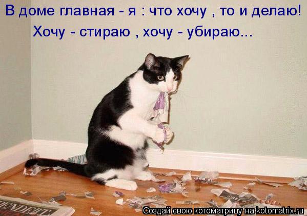 Котоматрица: В доме главная - я : что хочу , то и делаю! Хочу - стираю , хочу - убираю...