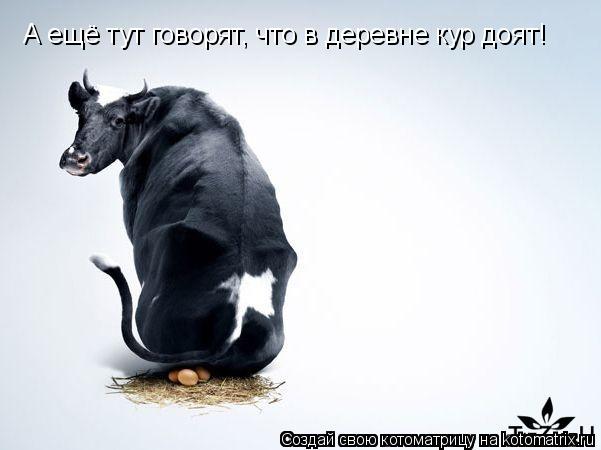 Котоматрица: А ещё тут говорят, что в деревне кур доят!