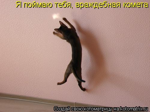 Котоматрица: Я поймаю тебя, враждебная комета