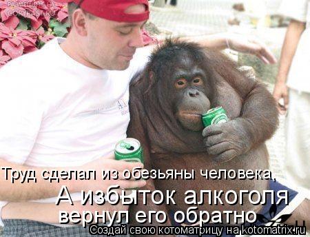 Котоматрица: Труд сделал из обезьяны человека, вернул его обратно А избыток алкоголя