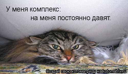 У меня комплекс: на меня постоянно давят.... Котоматрица: У меня комплекс: на меня постоянно давят.