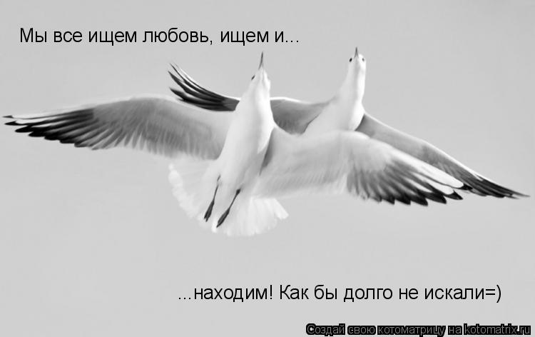 Мы все ищем любовь, ищем и... ...находим! Как бы долго не искали=)... Котоматрица: Мы все ищем любовь, ищем и... ...находим! Как бы долго не искали=)