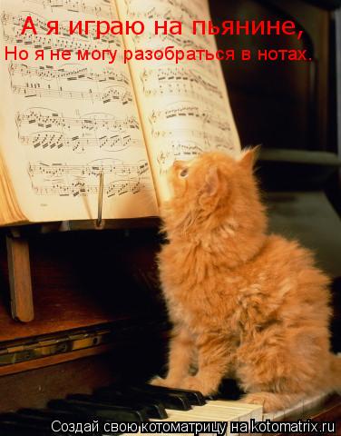 А я играю на пьянине, Но я не могу разобраться в нотах.... Котоматрица: А я играю на пьянине, Но я не могу разобраться в нотах.