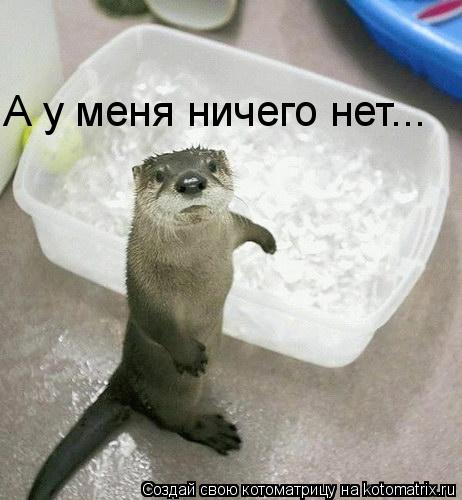 Котоматрица: А у меня ничего нет...