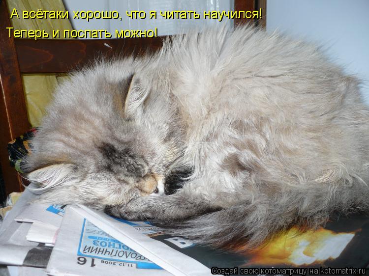А всётаки хорошо, что я читать научился! Теперь и поспать можно! А всётаки хорошо, что я читать науч... Котоматрица: А всётаки хорошо, что я читать научился! Теперь и поспать можно! А всётаки хорошо, что я читать научился!