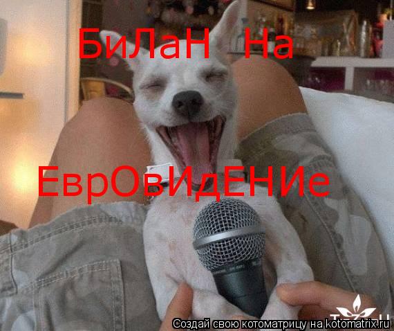 Котоматрица: БиЛаН  На  ЕврОвИдЕНИе