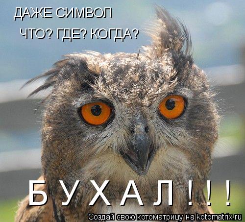 ДАЖЕ СИМВОЛ ЧТО? ГДЕ? КОГДА? Б У Х А Л ! ! !... Котоматрица: ДАЖЕ СИМВОЛ ЧТО? ГДЕ? КОГДА? Б У Х А Л ! ! !