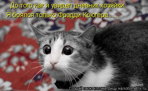 До того,как я увидел дневник хозяйки, Я боялся только Фрэдди Крюгера......... Котоматрица: До того,как я увидел дневник хозяйки, Я боялся только Фрэдди Крюгера......
