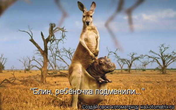 Котоматрица: "Блин, ребёночка подменили..."
