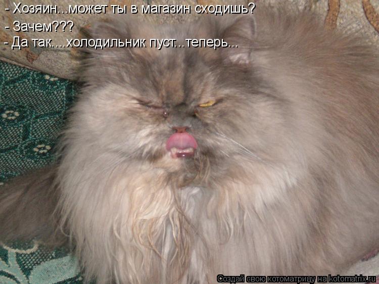 Котоматрица: - Хозяин...может ты в магазин сходишь?  - Зачем???  - Зачем???  - Да так....холодильник пуст...теперь...