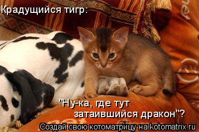 Крадущийся тигр: "Ну-ка, где тут затаившийся дракон"?... Котоматрица: Крадущийся тигр: "Ну-ка, где тут затаившийся дракон"?