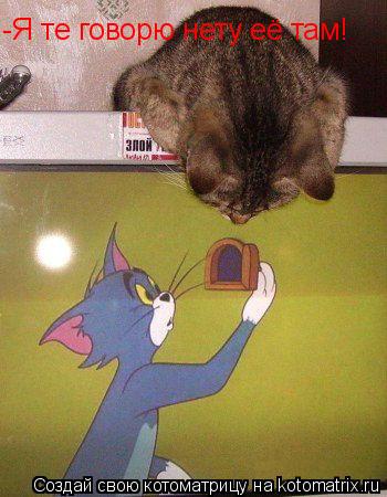 Котоматрица: -Я те говорю нету её там!