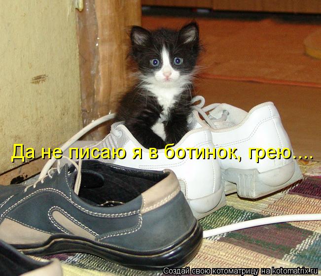 Котоматрица: Да не писаю я в ботинок, грею....