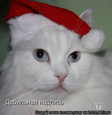 Дебильная Дебильная надпись... Котоматрица: Дебильная Дебильная надпись