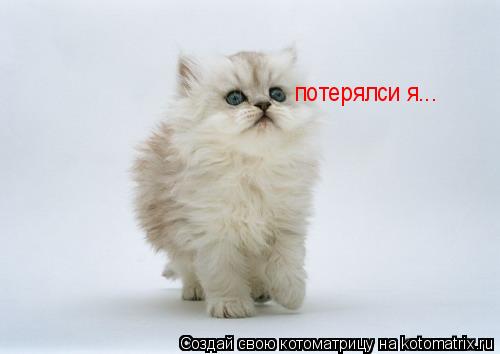 потерялси я...... Котоматрица: потерялси я...