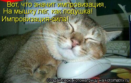Котоматрица: Вот, что значит импровизация На мышку лёг, как подушка! Импровизация-сила! ,