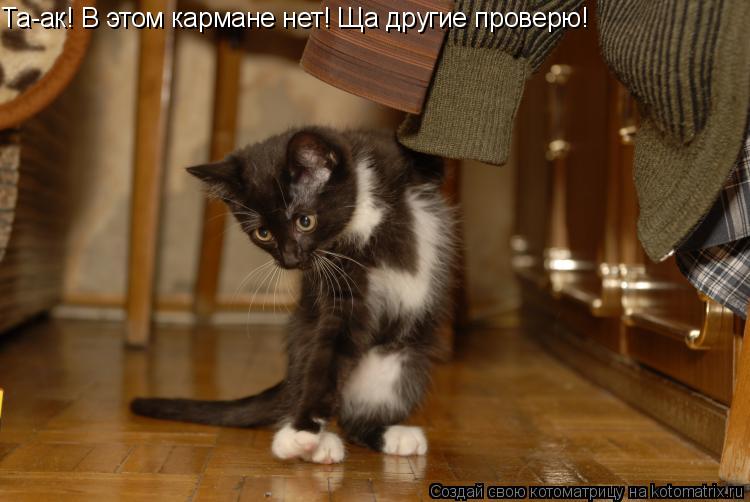 Та-ак! В этом кармане нет! Ща другие проверю!... Котоматрица: Та-ак! В этом кармане нет! Ща другие проверю!