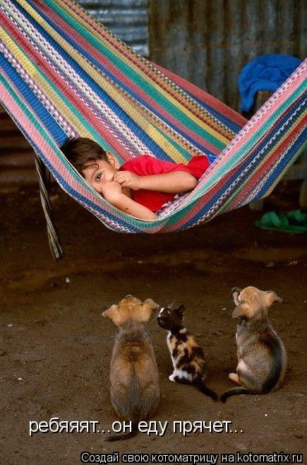 Котоматрица: ребяяят...он еду прячет...