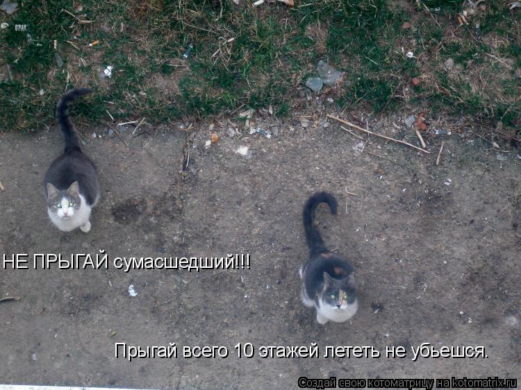Прыгай всего 10 этажей лететь не убьешся. НЕ ПРЫГАЙ сумасшедший!!!... Котоматрица: Прыгай всего 10 этажей лететь не убьешся. НЕ ПРЫГАЙ сумасшедший!!!