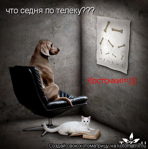что седня по телеку??? Косточки!=)))... Котоматрица: что седня по телеку??? Косточки!=)))