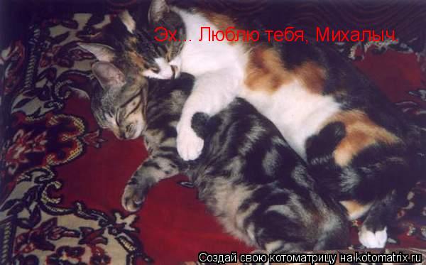 Котоматрица: Эх... Люблю тебя, Михалыч.