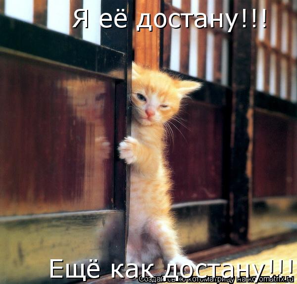 Я её достану!!! Ещё как достану!!!... Котоматрица: Я её достану!!! Ещё как достану!!!
