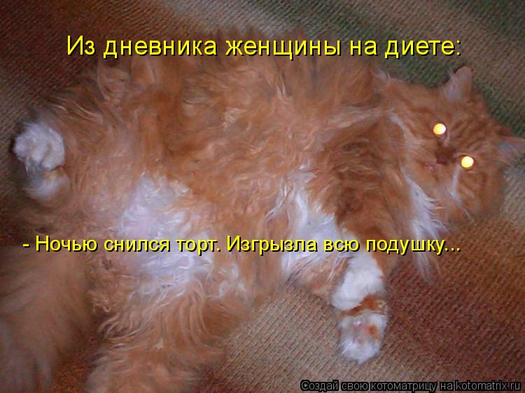 Из дневника женщины на диете: - Ночью снился торт. Изгрызла всю подушку...... Котоматрица: Из дневника женщины на диете: - Ночью снился торт. Изгрызла всю подушку...