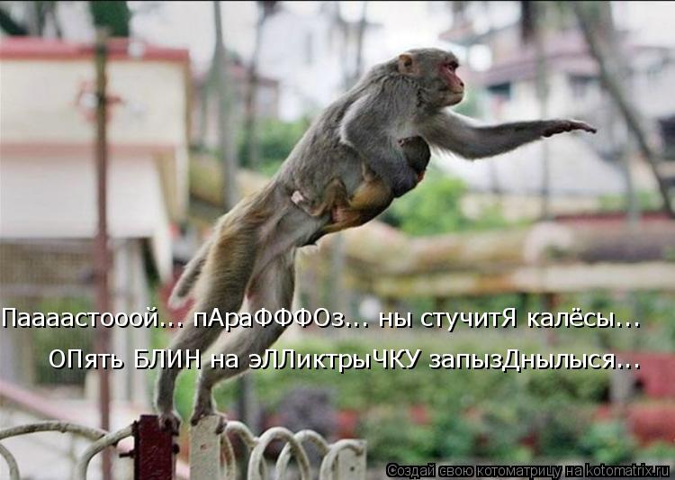Котоматрица: Паааастооой... пАраФФФОз... ны стучитЯ калёсы...  ОПять БЛИН на эЛЛиктрыЧКУ запызДнылыся...