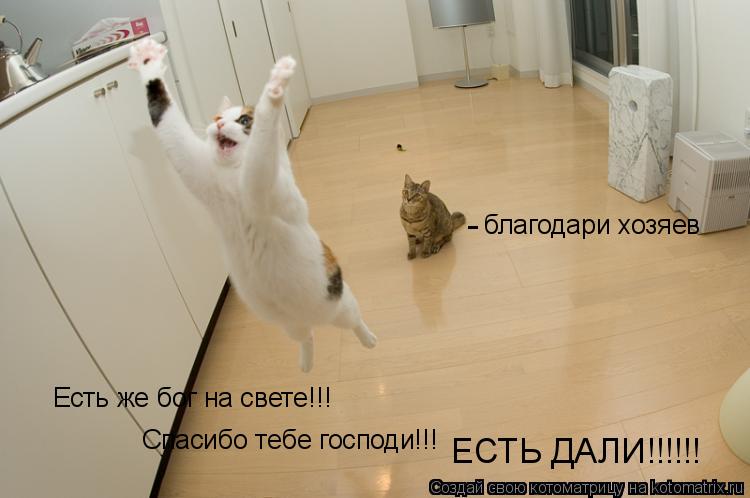 Есть же бог на свете!!! Спасибо тебе господи!!! ЕСТЬ ДАЛИ!!!!!! - благодари хозяев... Котоматрица: Есть же бог на свете!!! Спасибо тебе господи!!! ЕСТЬ ДАЛИ!!!!!! - благодари хозяев