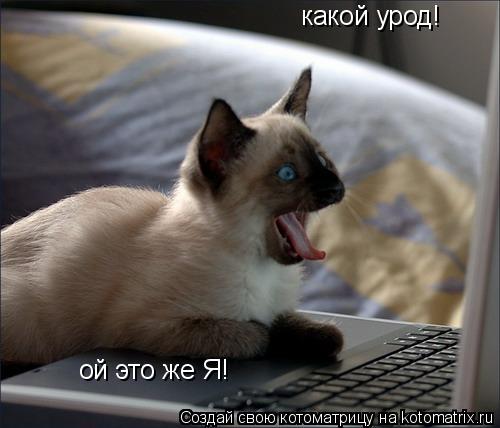 какой урод! ой это же Я!... Котоматрица: какой урод! ой это же Я!