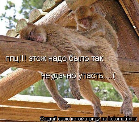 ппц!!! этож надо было так неудачно упасть....(... Котоматрица: ппц!!! этож надо было так неудачно упасть....(